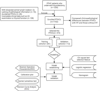 The model for predicting the central lymph node metastasis in cN0 papillary thyroid microcarcinoma with Hashimoto’s thyroiditis